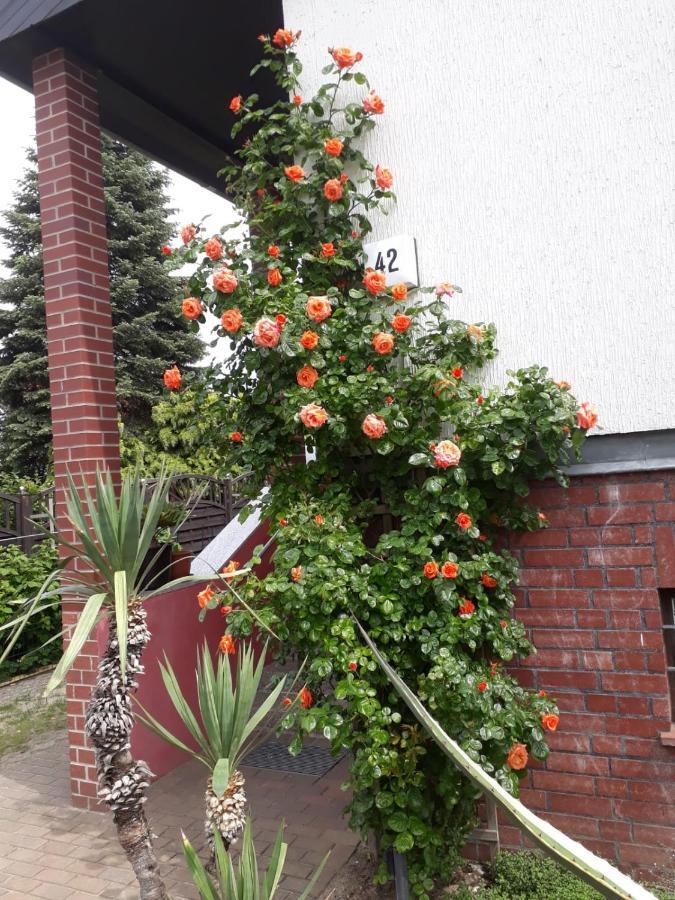 Appartamento Besondere Quartier In Pankow